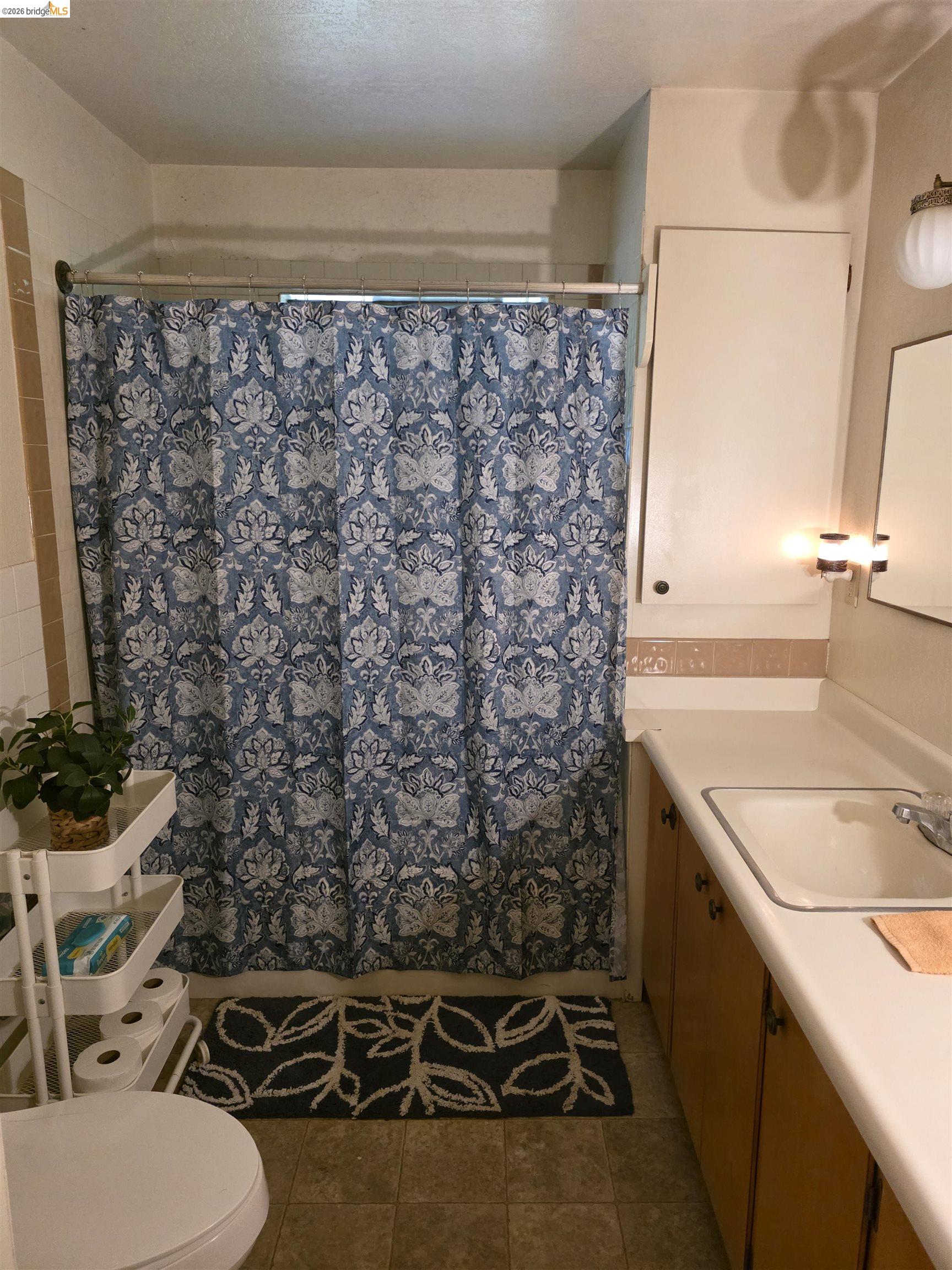 2323 Spink Road West Point, CA 95255 - Photo 16 of 17 Bathroom featuring a built-in vanity with a white countertop and wood-finish cabinetry, a drop-in sink, and a wall-mounted light fixture