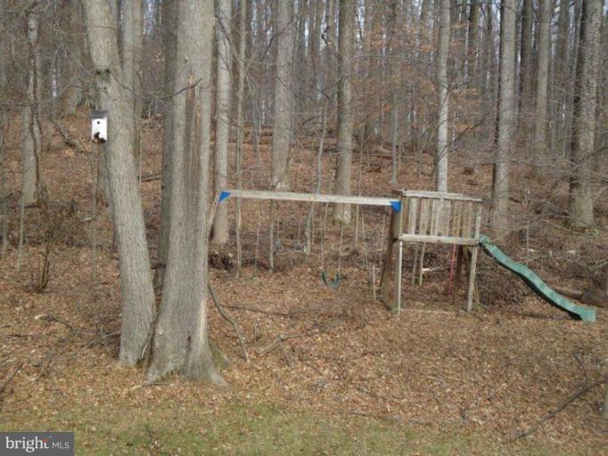 9 Atwood Court Silver Spring, MD 20906 - Photo 2 of 16 Back yard