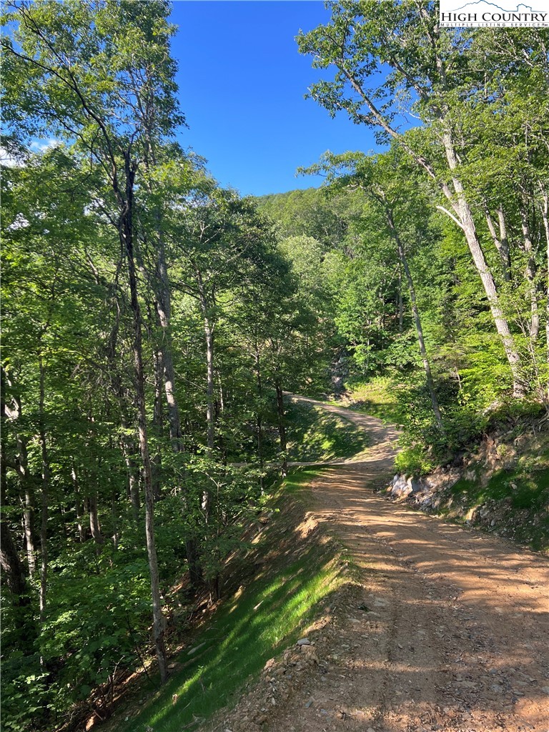 Quail Ridge Fleetwood, NC 28626 - Photo 2 of 7 a view of a field with an tree