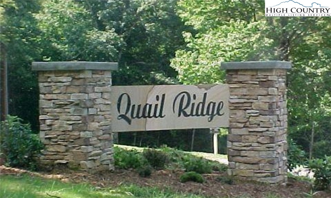 Quail Ridge Fleetwood, NC 28626 - Photo 7 of 7