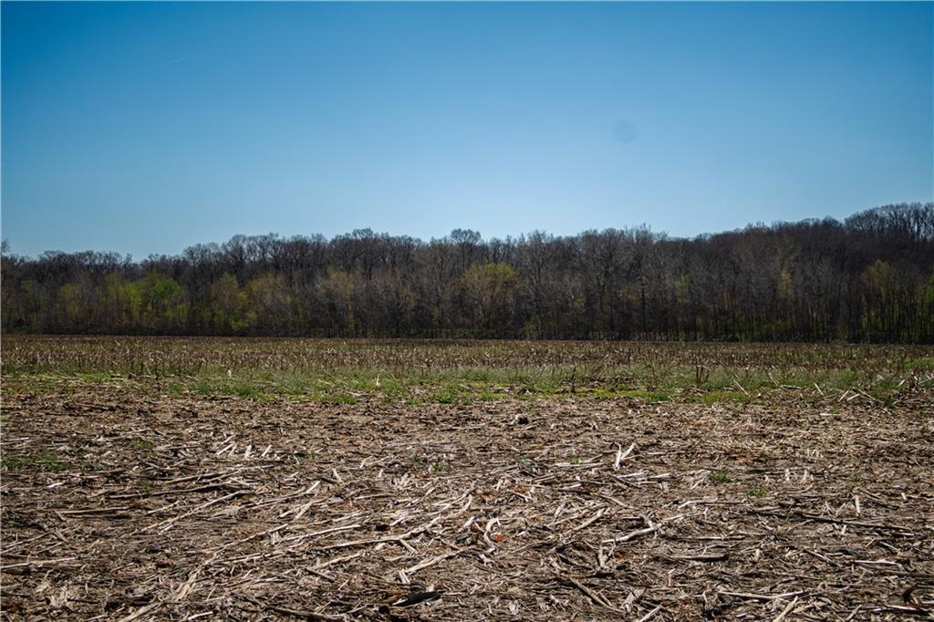 1 County Road Chillicothe, MO 64601 - Photo 6 of 9
