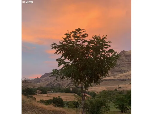 a view of a lake in between two of trees