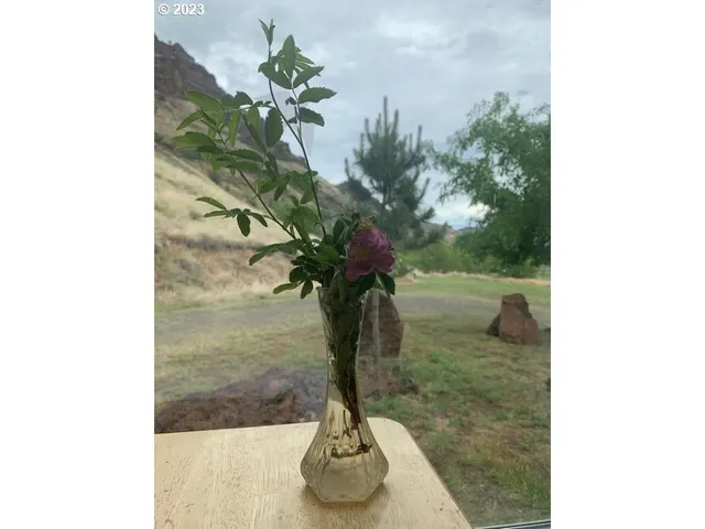 a vase of flowers sitting on a table