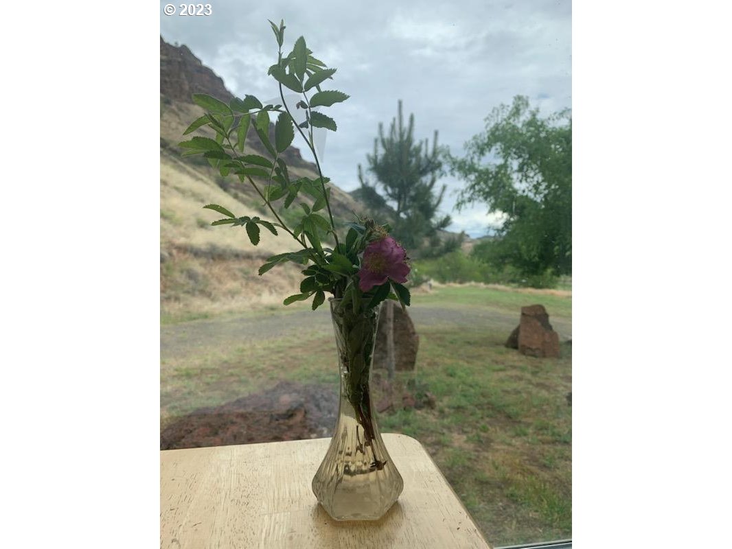 74234 Lower Imnaha Road Imnaha, OR 97842 - Photo 17 of 33 a vase of flowers sitting on a table