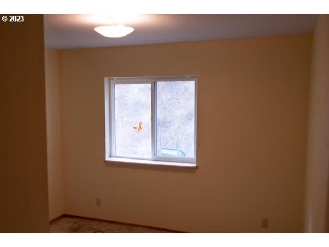 74234 Lower Imnaha Road Imnaha, OR 97842 - Photo 27 of 33 a view of an empty room