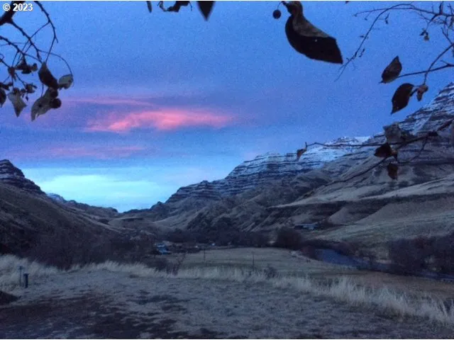 a view of a dry yard