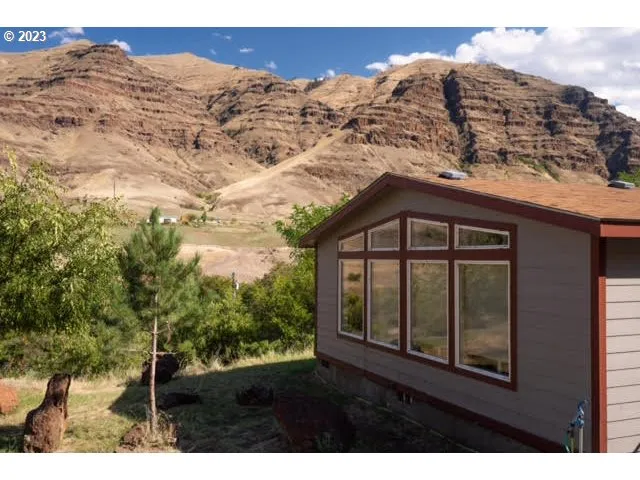 a view of a dry yard