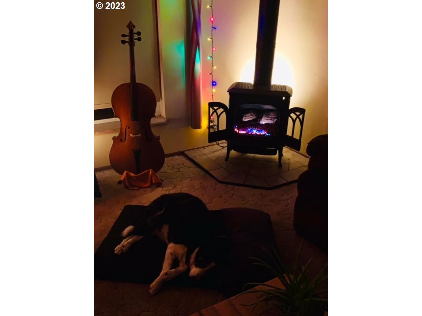 74234 Lower Imnaha Road Imnaha, OR 97842 - Photo 10 of 33 a living room with furniture and a potted plant