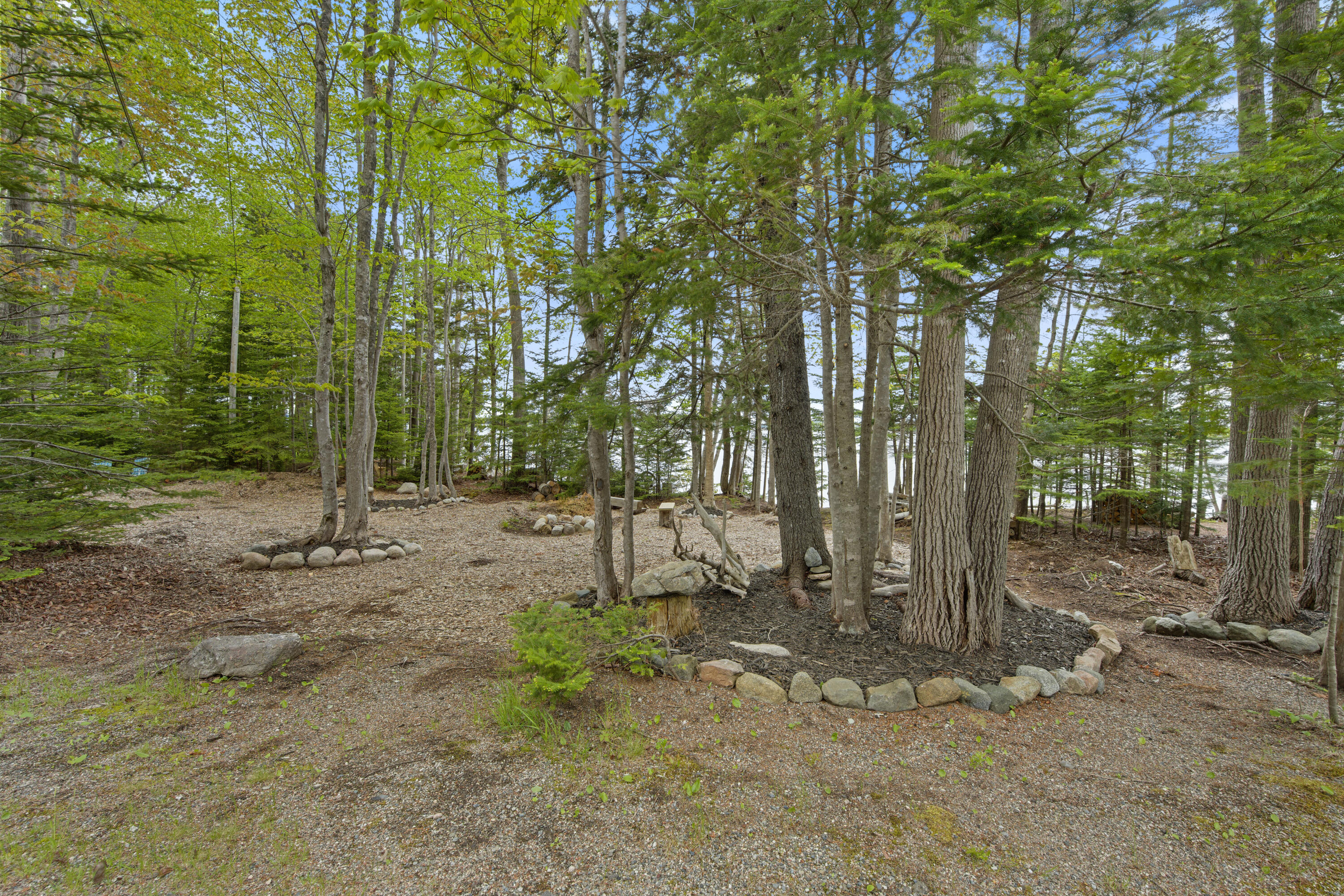 Lot 178 Rays Point Road Milbridge, ME 04658 - Photo 12 of 30 DSC_5740