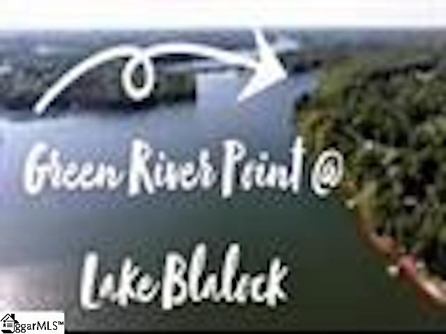 0 Green River Road Chesnee, SC 29323 - Photo 2 of 13 Gallery Image 2
