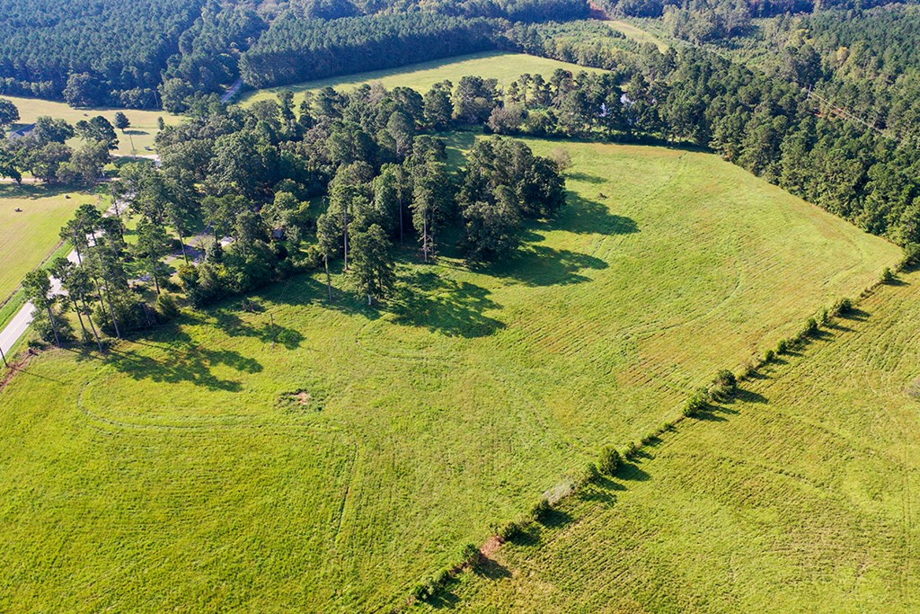 6163 Fruit Hill Road Saluda, SC 29138 - Photo 11 of 17 Gallery Image 11