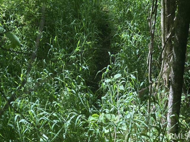 North Bawel Road Lynnville, IN 47619 - Photo 11 of 13