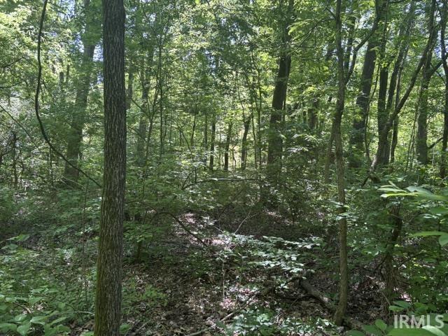 North Bawel Road Lynnville, IN 47619 - Photo 3 of 13