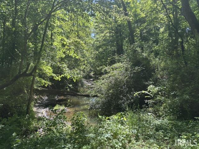 North Bawel Road Lynnville, IN 47619 - Photo 4 of 13