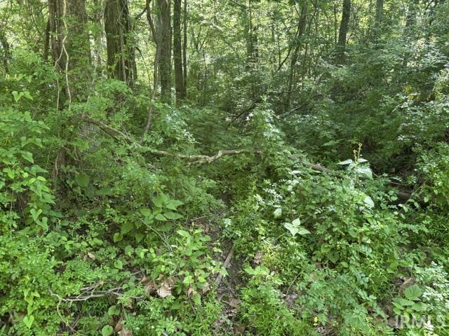 North Bawel Road Lynnville, IN 47619 - Photo 8 of 13