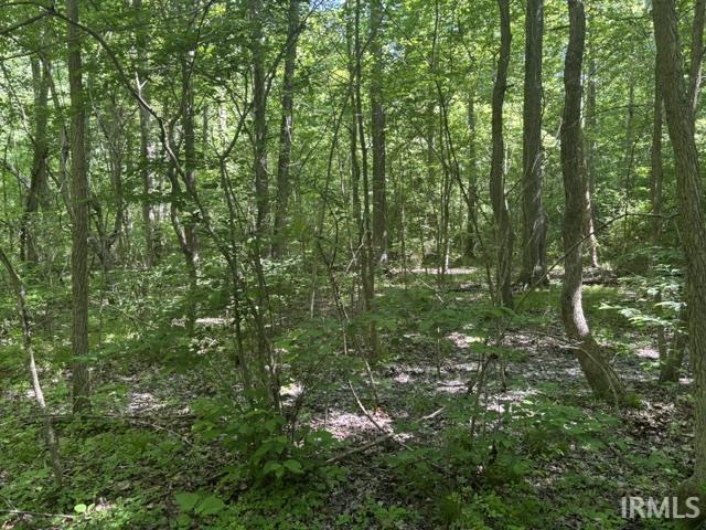 North Bawel Road Lynnville, IN 47619 - Photo 9 of 13