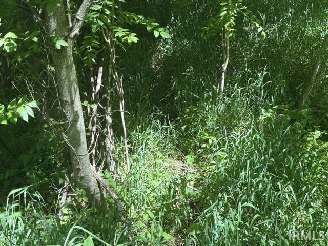 North Bawel Road Lynnville, IN 47619 - Photo 10 of 13
