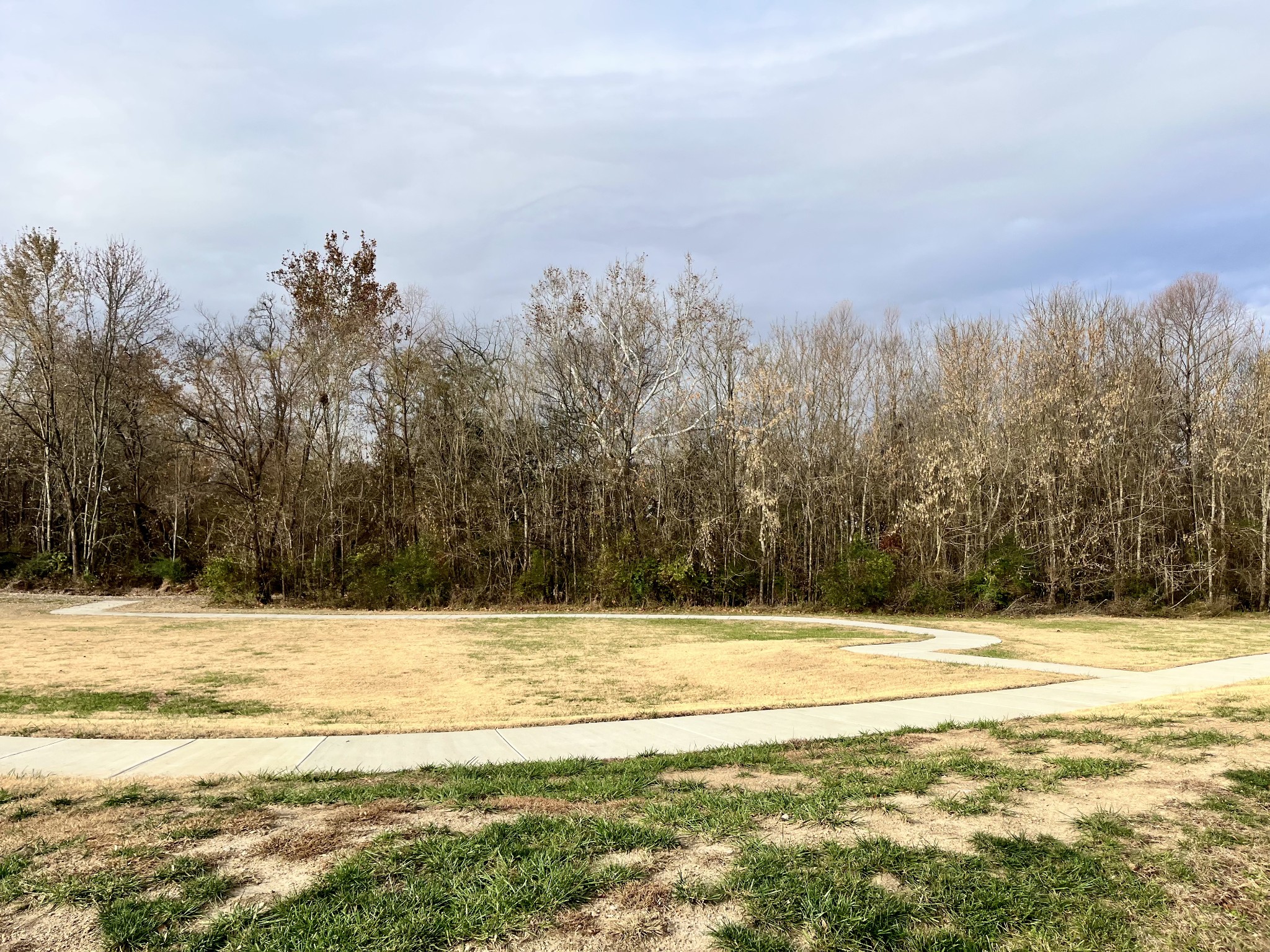 361 A Wellows Chase Spring Hill, TN 37174 - Photo 11 of 25