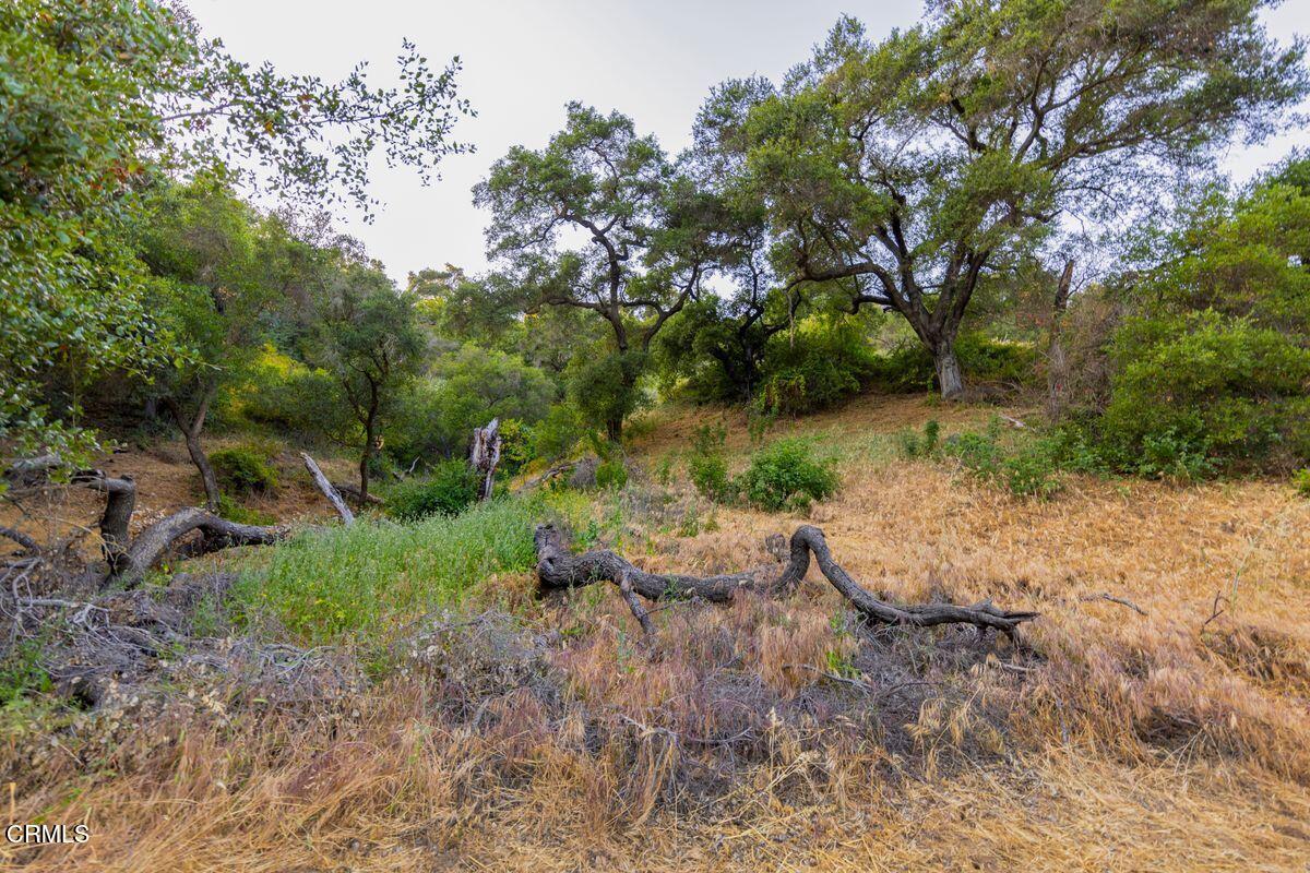0 Creek Road Oak View, CA 93022 - Photo 14 of 27 photo_online_014