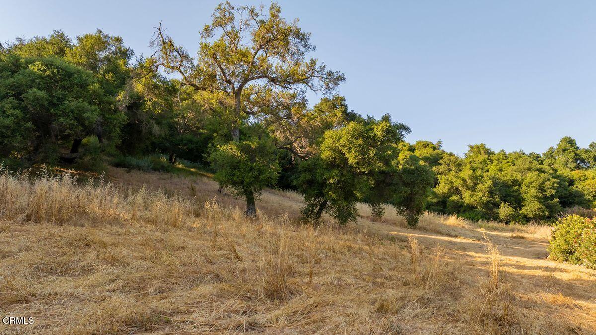 0 Creek Road Oak View, CA 93022 - Photo 5 of 27 photo_online_005