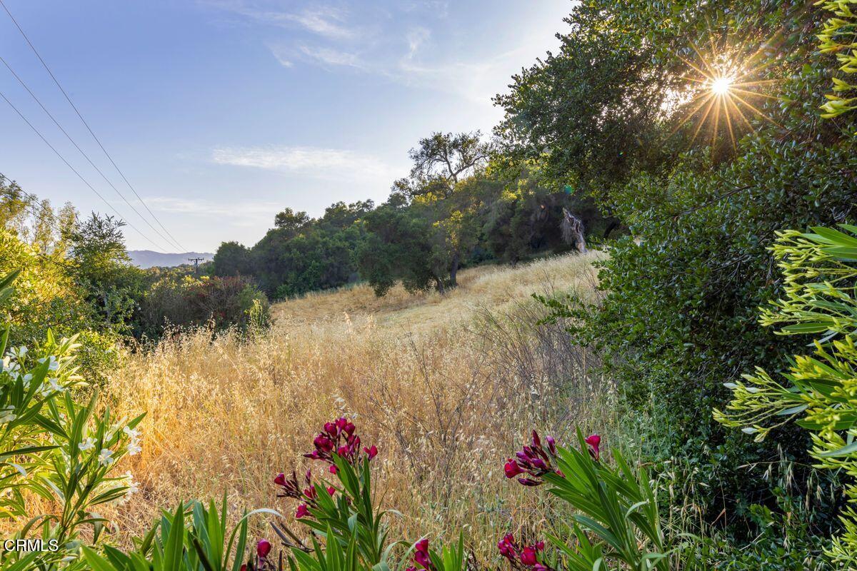 0 Creek Road Oak View, CA 93022 - Photo 6 of 27 photo_online_006