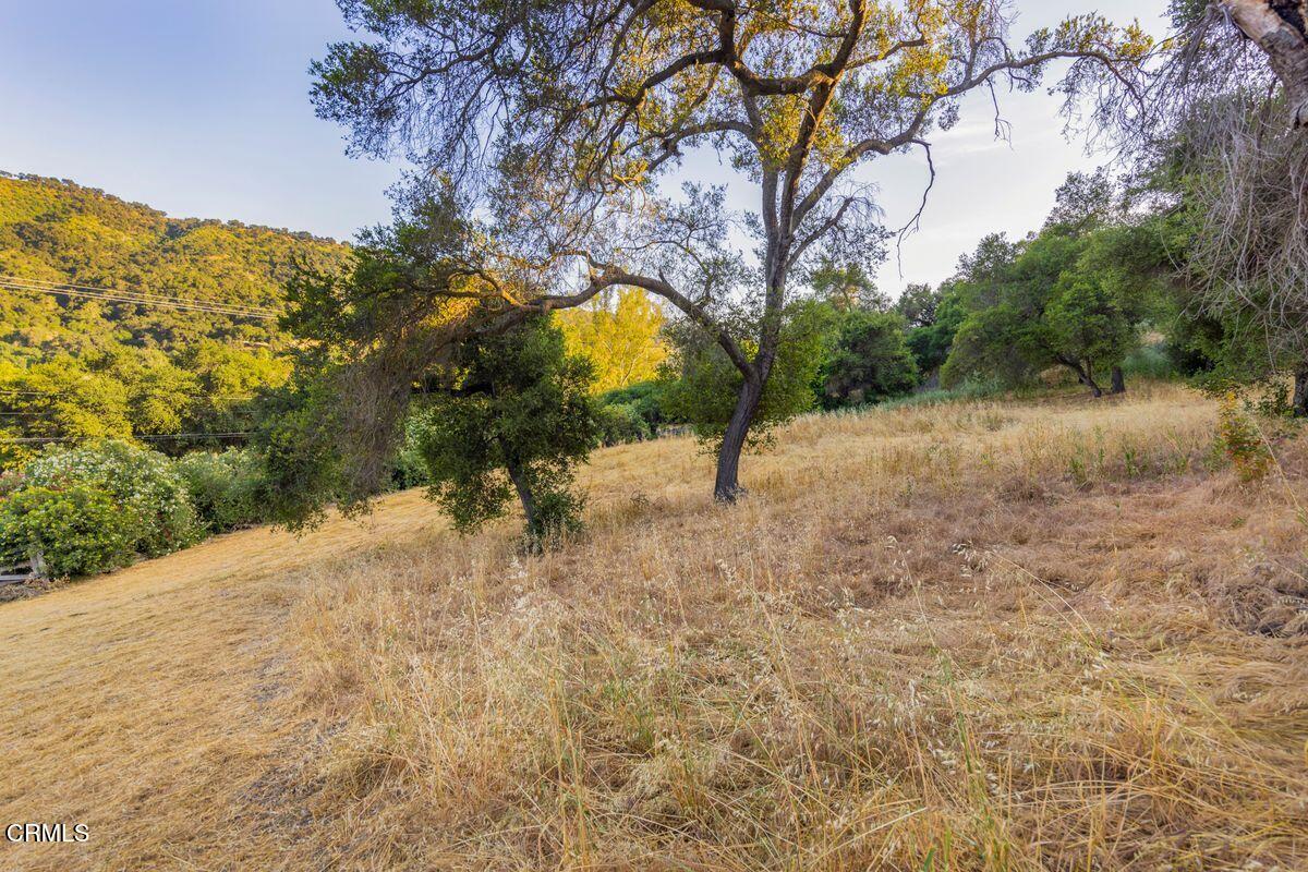 0 Creek Road Oak View, CA 93022 - Photo 9 of 27 photo_online_009