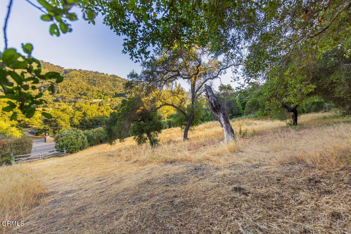 0 Creek Road Oak View, CA 93022 - Photo 10 of 27 photo_online_010