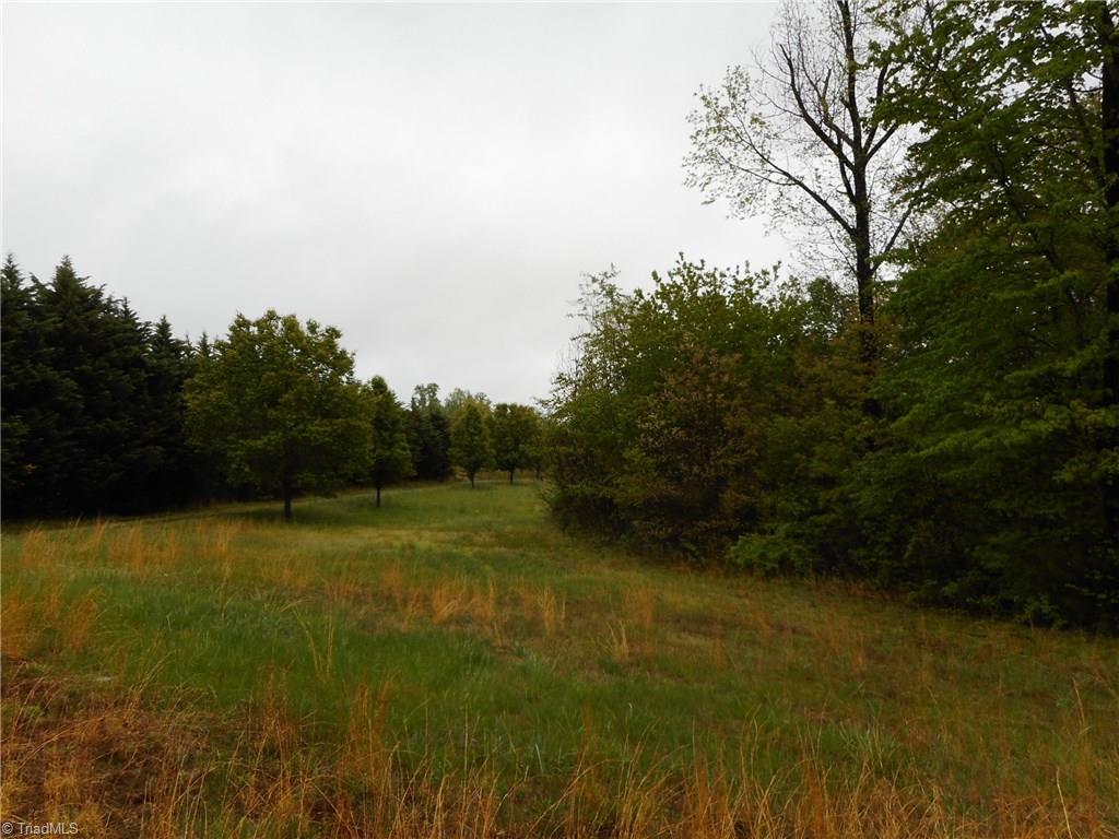 1920 Lick Fork Creek Road Ruffin, NC 27320 - Photo 10 of 11