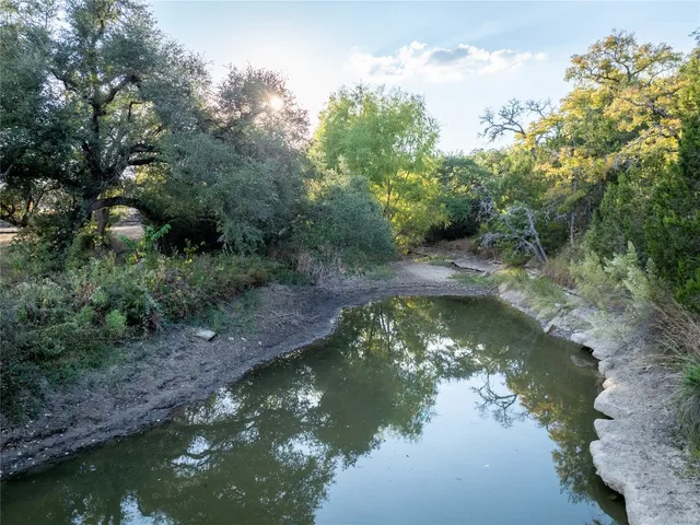 a view of water with a large trees