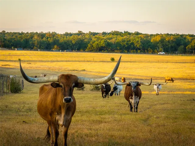 a view of a ocean view