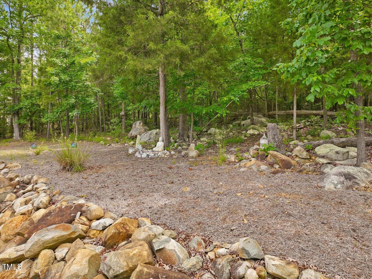 1330 Cedar Grove Road Pittsboro, NC 27312 - Photo 84 of 94 090-Backyard