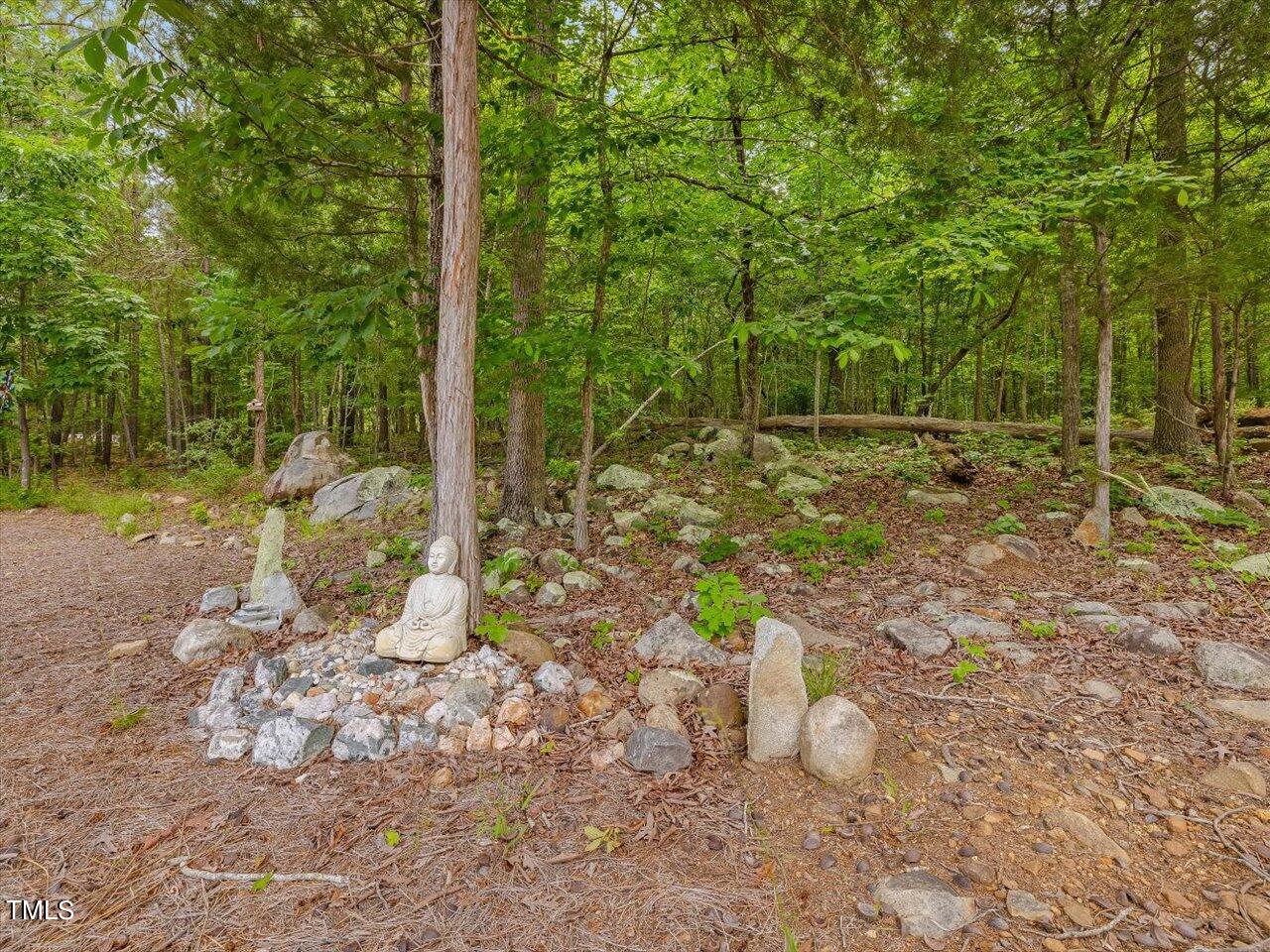 1330 Cedar Grove Road Pittsboro, NC 27312 - Photo 85 of 94 091-Wooded Area