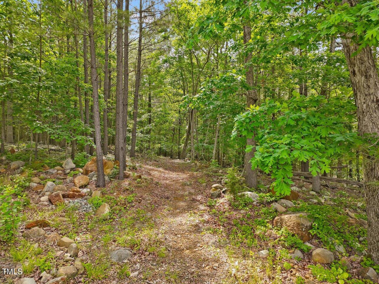1330 Cedar Grove Road Pittsboro, NC 27312 - Photo 86 of 94 092-Trail
