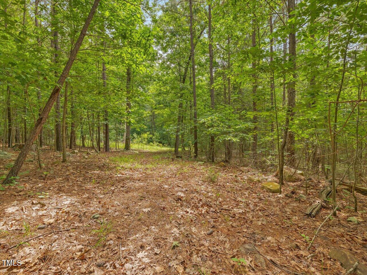 1330 Cedar Grove Road Pittsboro, NC 27312 - Photo 87 of 94 093-Trail