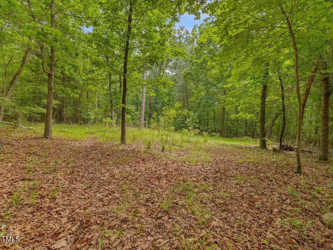 1330 Cedar Grove Road Pittsboro, NC 27312 - Photo 88 of 94 094-Trail