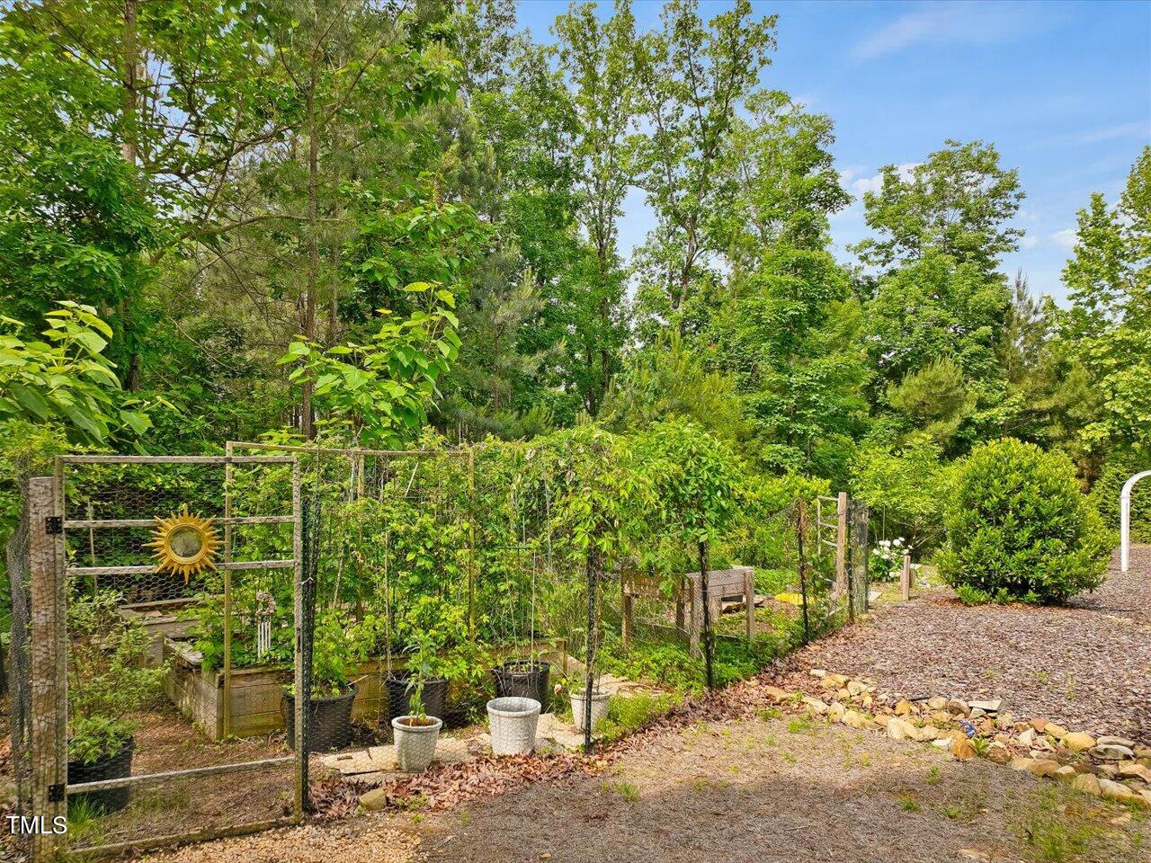 1330 Cedar Grove Road Pittsboro, NC 27312 - Photo 89 of 94 095-Garden