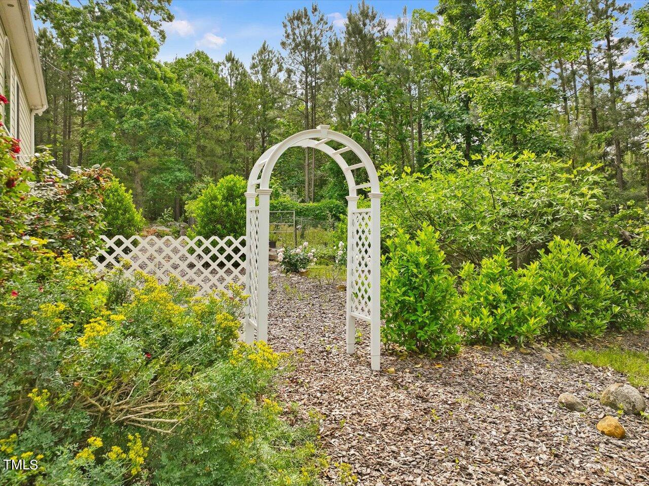 1330 Cedar Grove Road Pittsboro, NC 27312 - Photo 92 of 94 098-Mature Plantings