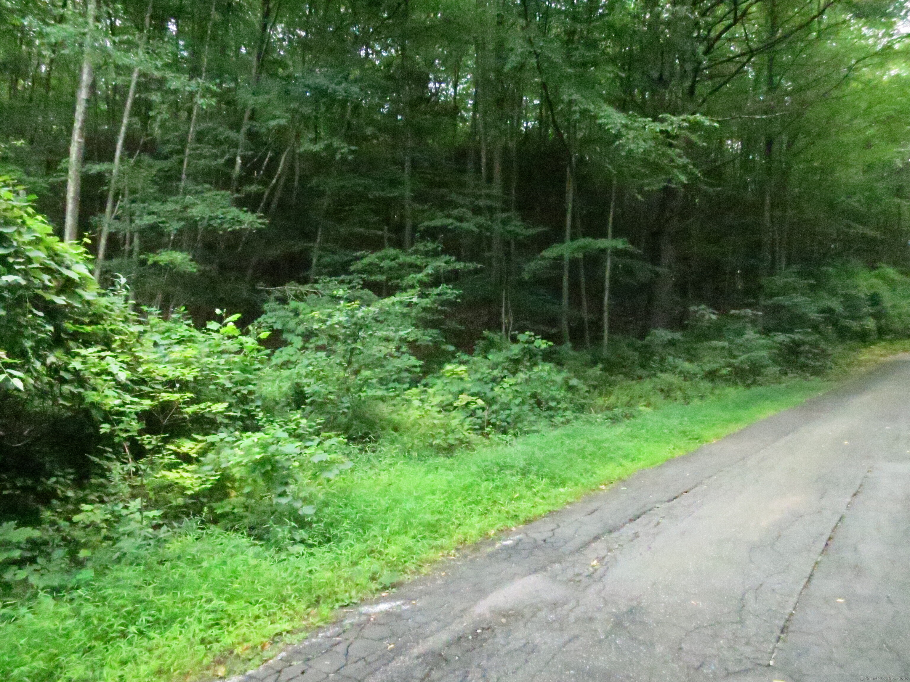 10 Cherry Swamp Road East Haddam, CT 06469 - Photo 4 of 6