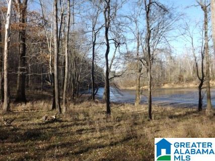 0 Pea Ridge Circle, Unit 424 Union Grove, AL 35175 - Photo 43 of 49