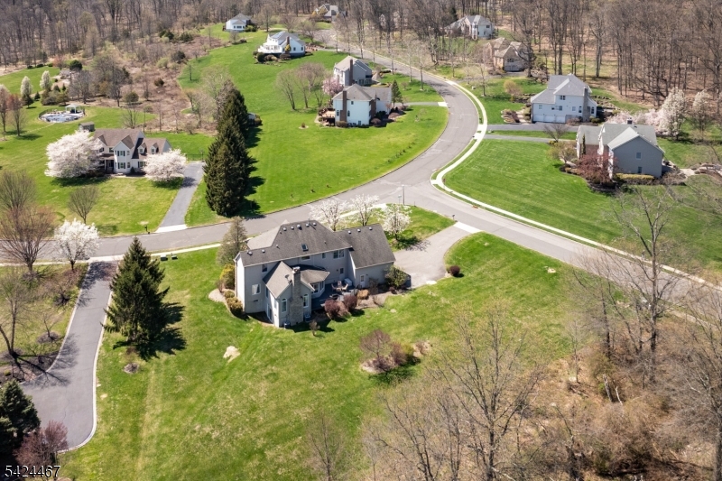 2 Moonlight Trail Flemington, NJ 08822 - Photo 49 of 50 an aerial view of a house with a garden and trees