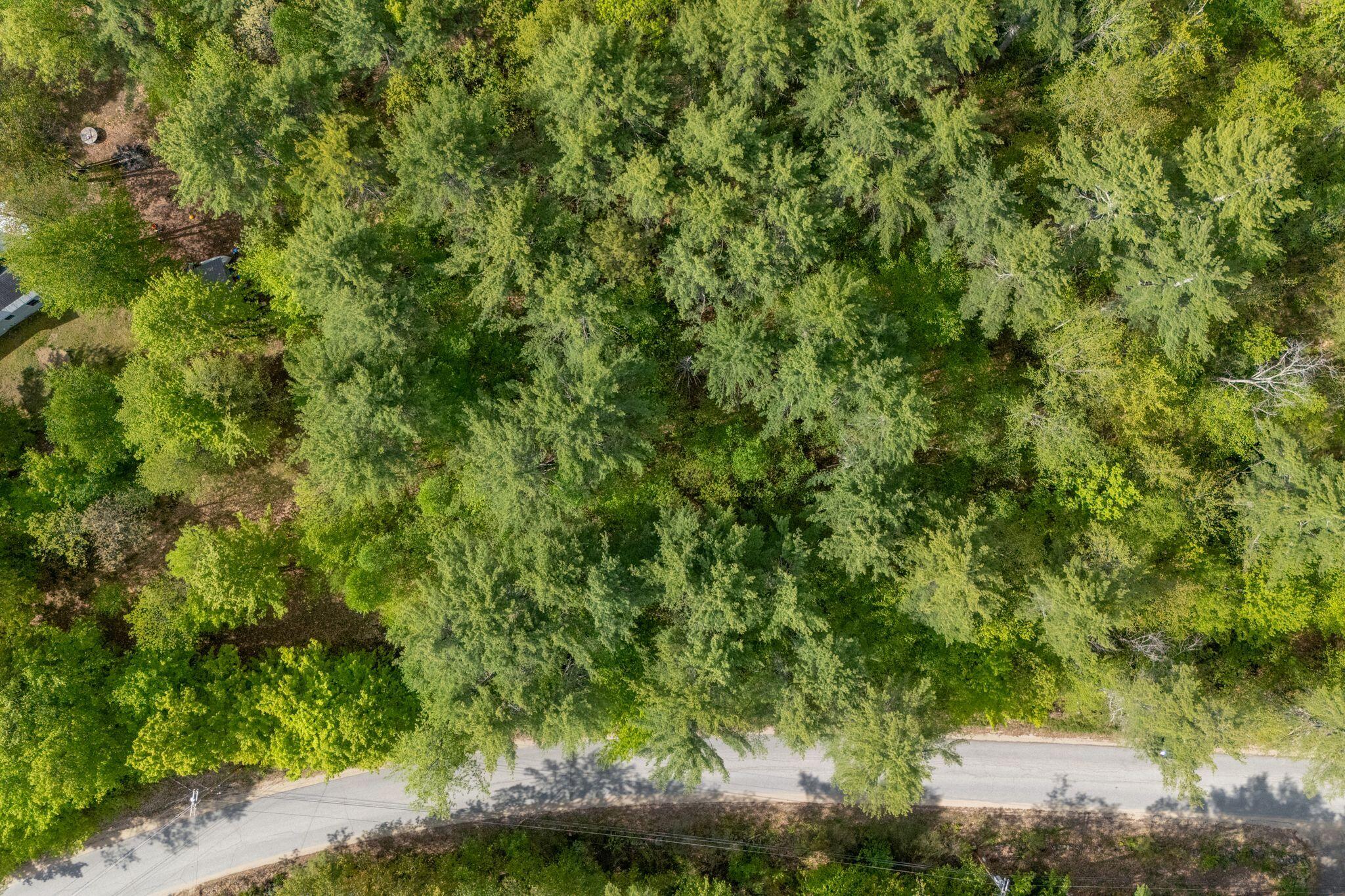 Lot C Shady Nook Road West Newfield, ME 04095 - Photo 5 of 12 5_DJI_20260520093001_0006_D copy