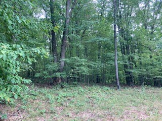 1229 Highway 861 Rimersburg, PA 16248 - Photo 9 of 22