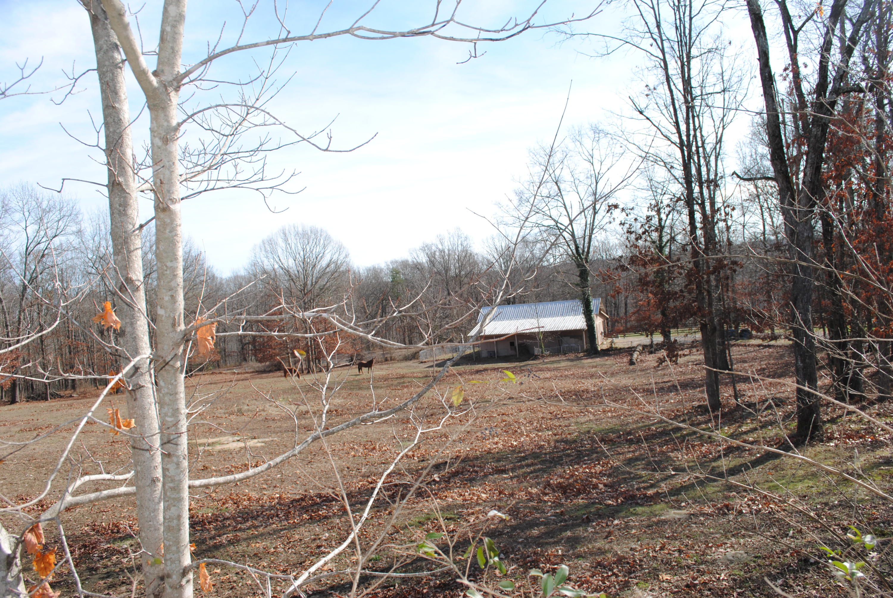 4534 North Fairmount Road Signal Mountain, TN 37377 - Photo 1 of 14 DSC_0269