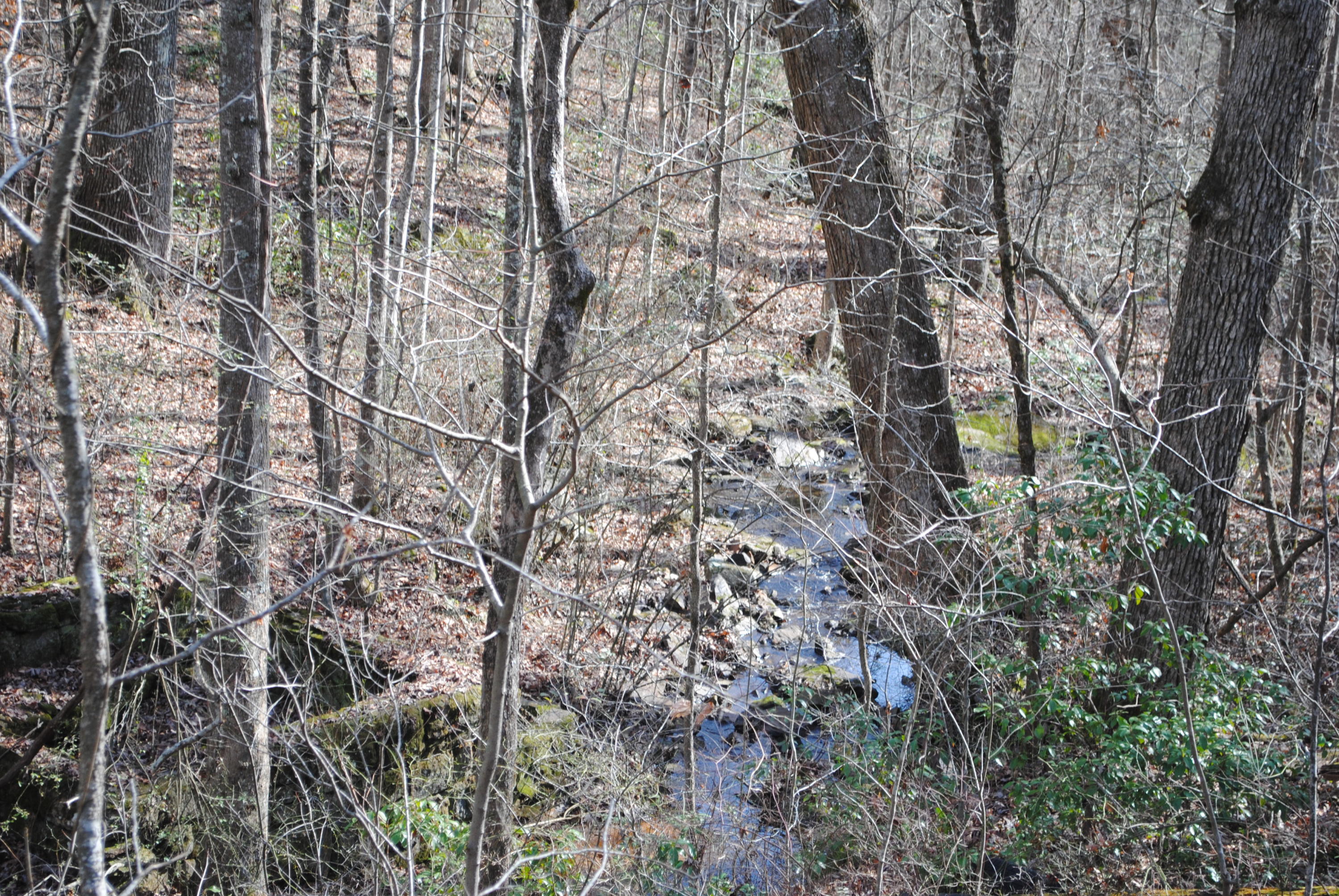4534 North Fairmount Road Signal Mountain, TN 37377 - Photo 11 of 14 DSC_0277