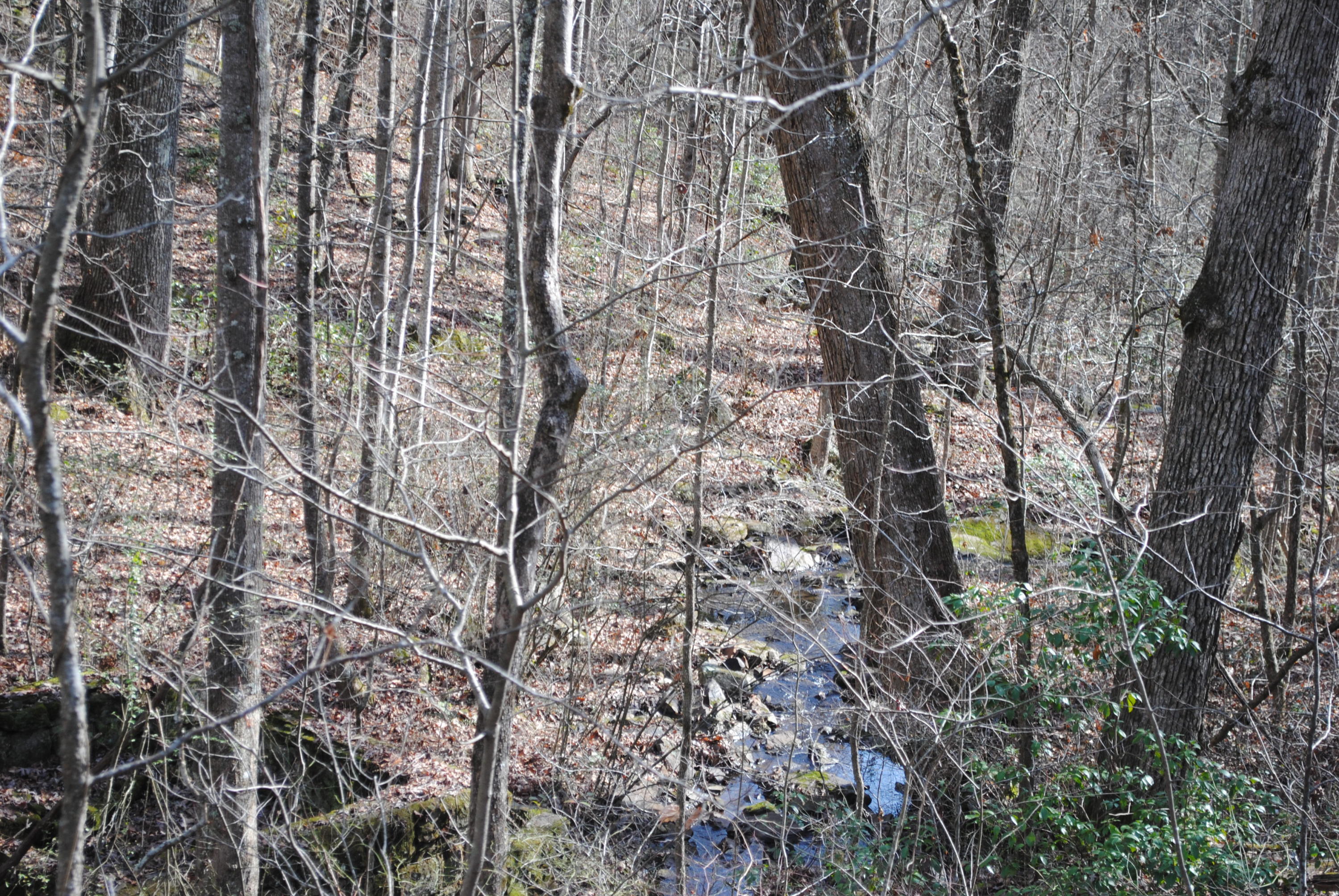 4534 North Fairmount Road Signal Mountain, TN 37377 - Photo 12 of 14 DSC_0278