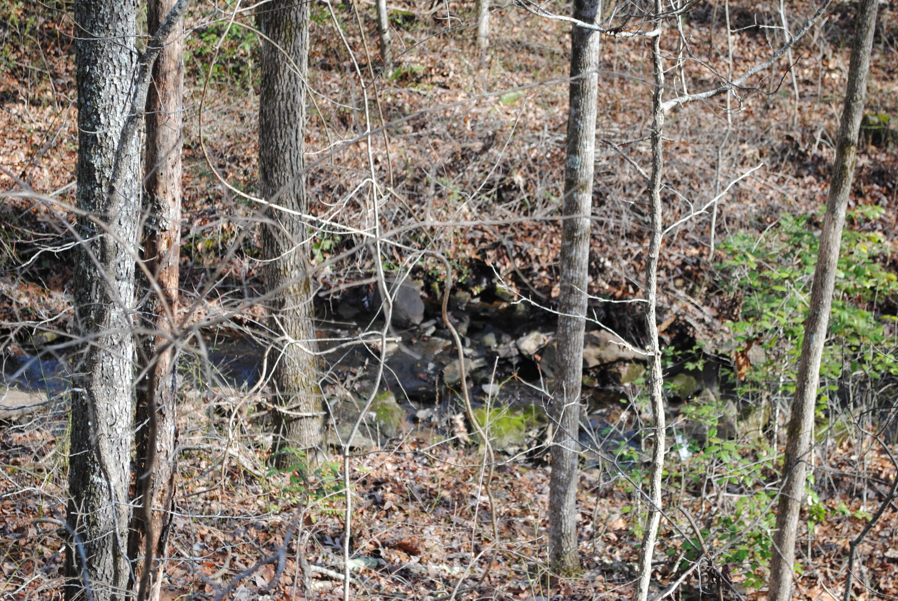 4534 North Fairmount Road Signal Mountain, TN 37377 - Photo 13 of 14 DSC_0279