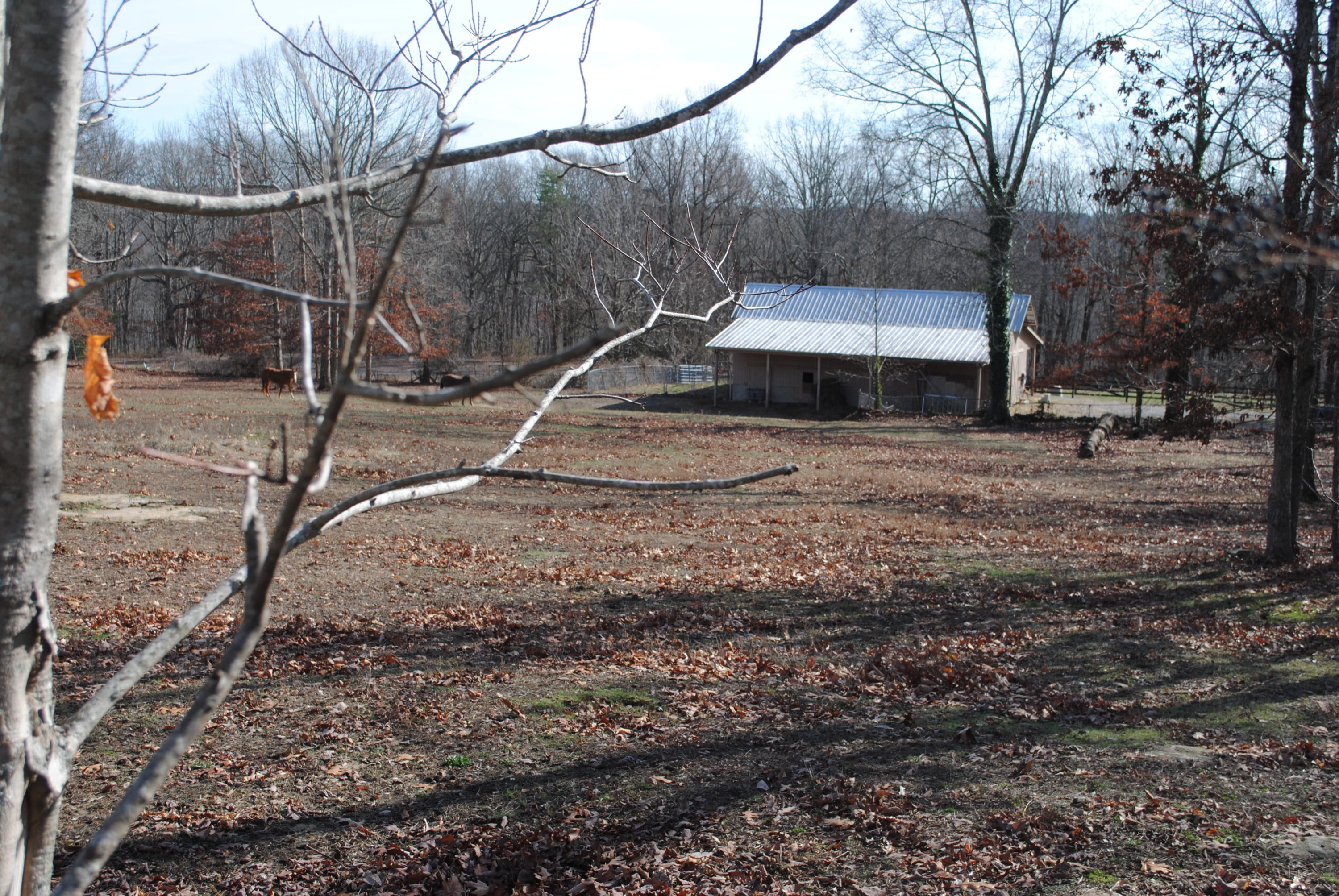 4534 North Fairmount Road Signal Mountain, TN 37377 - Photo 3 of 14 DSC_0265