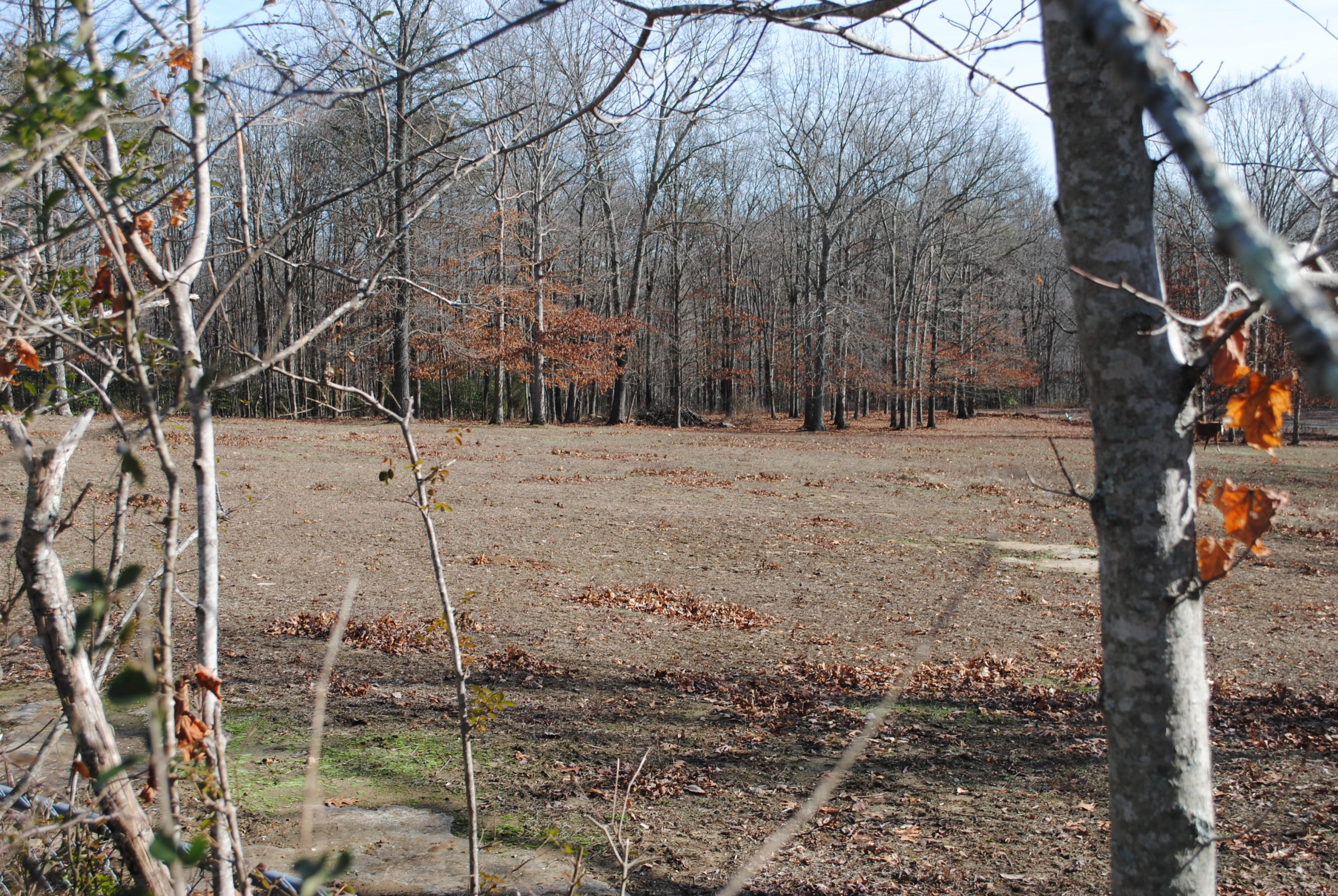 4534 North Fairmount Road Signal Mountain, TN 37377 - Photo 6 of 14 DSC_0266