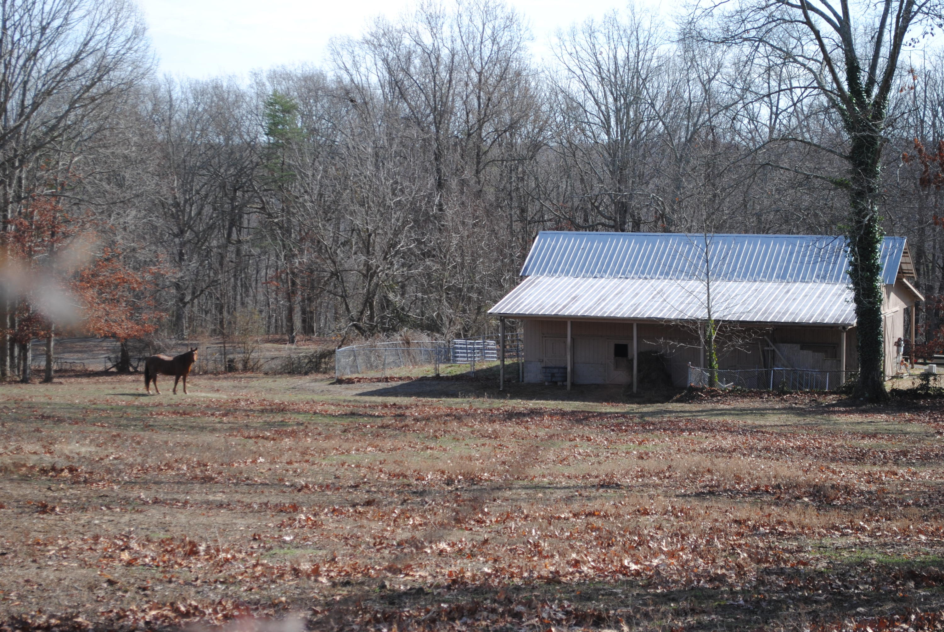 4534 North Fairmount Road Signal Mountain, TN 37377 - Photo 7 of 14 DSC_0267