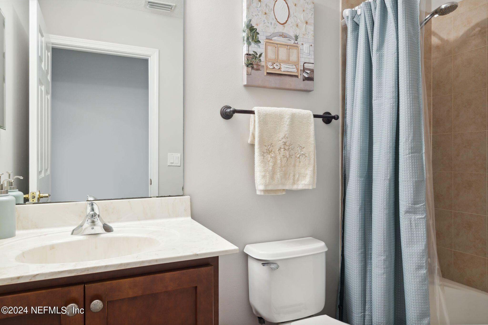 1403 Eagle Crossing Drive Orange Park, FL 32065 - Photo 15 of 71 a bathroom with a sink toilet and mirror